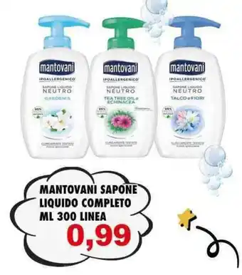 MANTOVANI SAPONE LIQUIDO COMPLETO ML 300 LINEA