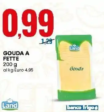 Eurospin Gouda A Fette 200g offerta