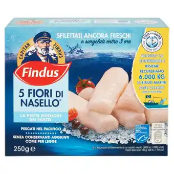 Ipercoop Fiori di nasello capitan findus offerta