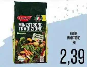 Supermercati Pasquale Prisco FINDUS MINESTRONE 1 KG offerta