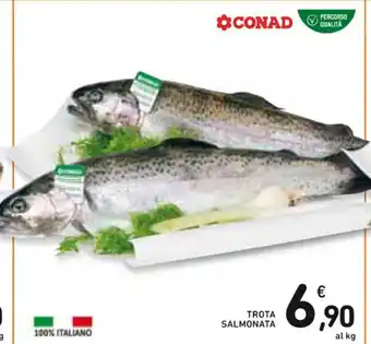 Spazio Conad TROTA SALMONATA offerta