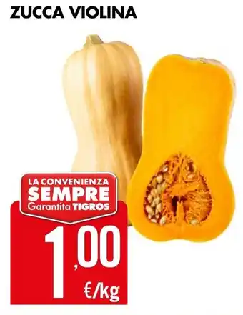 Tigros ZUCCA VIOLINA offerta