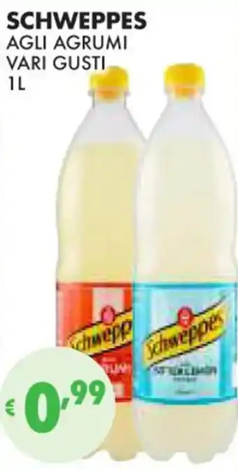 Eté SCHWEPPES AGLI AGRUMI VARI GUSTI 1L offerta