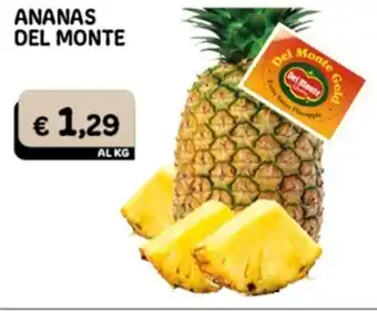 Gala Supermercati ANANAS DEL MONTE offerta