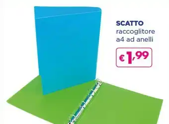 Scatto Raccoglitore A4 Ad Anelli