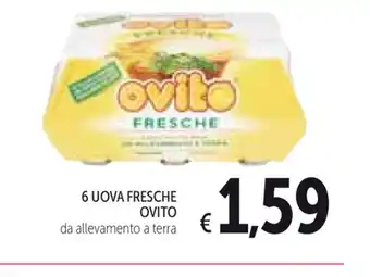 6 Uova Fresche Ovito