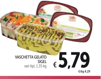 Spazio Conad Vaschetta Gelato Sigel 1.35 kg offerta