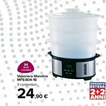 Carrefour Mandine Vaporiera MFS804-16 offerta