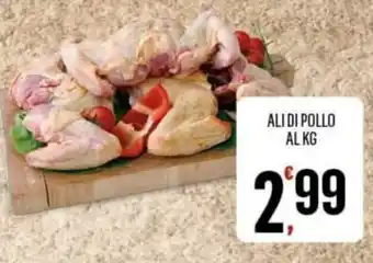 Vibian ALI DI POLLO offerta
