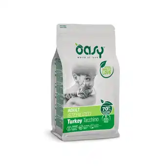 Ayoka Oasy cat offerta