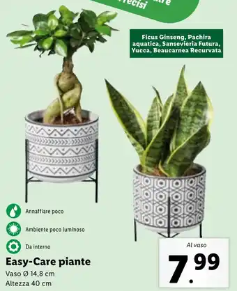 Lidl Easy-Care piante offerta
