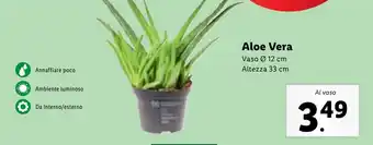 Lidl Aloe Vera offerta