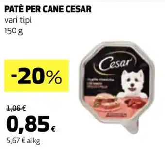 Coop PATÈ PER CANE CESAR vari tipi 150 g offerta