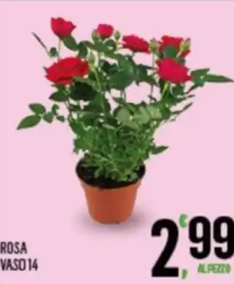 ROSA VASO 14