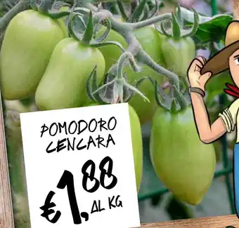 èccoMI POMODORO CENCARA offerta