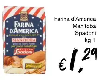 èccoMI Farina d'America Manitoba Spadoni kg 1 offerta