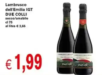 D'Italy Lambrusco dell'Emilia IGT DUE COLLI secco/amabile cl 75 offerta
