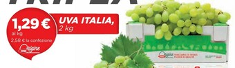 Coop Uva Italia offerta