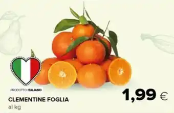 Tigre CLEMENTINE FOGLIA offerta