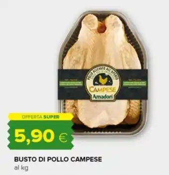 Tigre BUSTO DI POLLO CAMPESE offerta