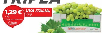 Ipercoop Uva Italia offerta