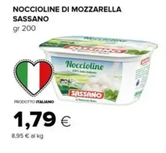 Tigre NOCCIOLINE DI MOZZARELLA SASSANO gr 200 offerta