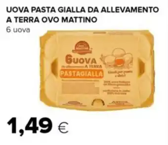Tigre UOVA PASTA GIALLA DA ALLEVAMENTO A TERRA OVO MATTINO 6 uova offerta