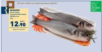 Branzino