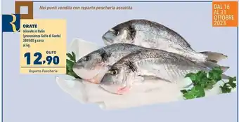 Conad Superstore Orate offerta