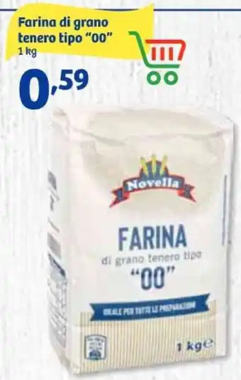 In'S Mercato Farina di grano tenero tipo "00" 1 kg offerta