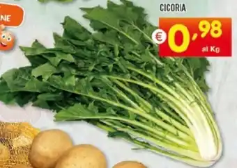 Centro Commerciale Discount CICORIA offerta
