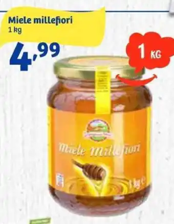 In'S Mercato Miele millefiori 1 kg offerta