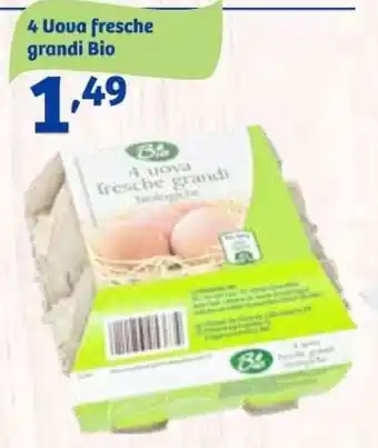 In'S Mercato 4 Uova fresche grandi Bio offerta