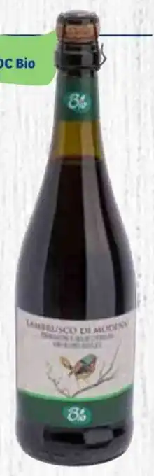 In'S Mercato Lambrusco di Modena DOC Bio 75 cl offerta