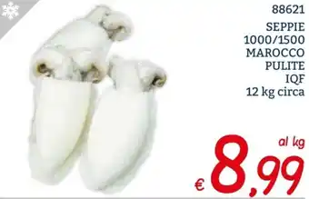 Zona SEPPIE 1000/1500 MAROCCO PULITE IQF 12 kg circa offerta