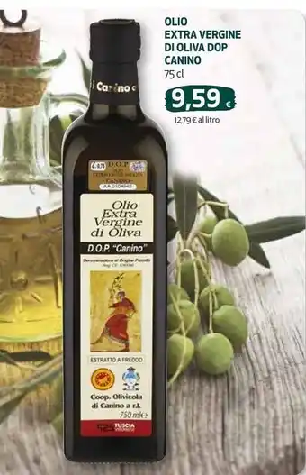 Ipercoop Canino olio extra vergine di oliva dop offerta