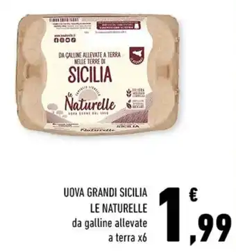 UOVA GRANDI SICILIA LE NATURELLE da galline allevate a terra x6