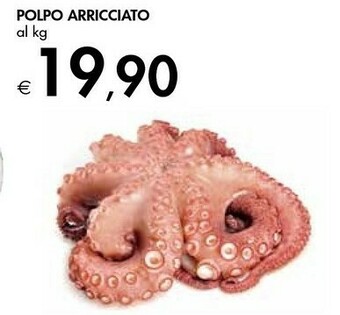Bennet Polpo Arricciato offerta
