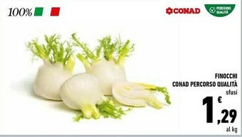 Conad Finocchi offerta