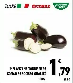 Conad Melanzane Tonde Nere offerta