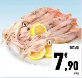 Conad TOTANI offerta