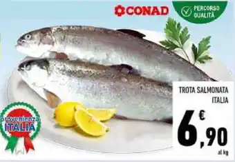 Conad TROTA SALMONATA ITALIA offerta