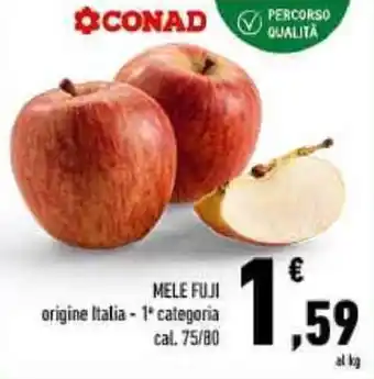 Conad MELE FUJI offerta