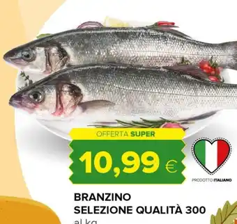 Tigre Branzino selezione qualita offerta