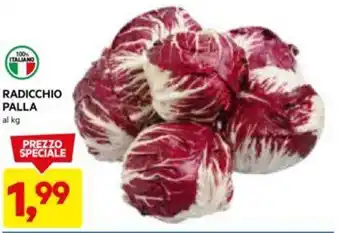 DPiù RADICCHIO PALLA al kg offerta