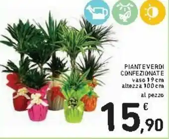 Spazio Conad Piante Verdi Confezionate offerta
