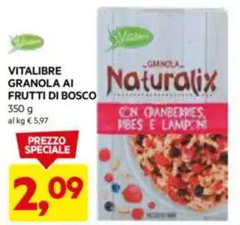 DPiù VITALIBRE GRANOLA AI FRUTTI DI BOSCo 350 g offerta