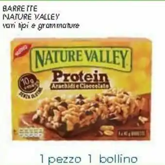 Nature Valley Barrette