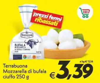 Iper Super Conveniente Terrabuona Mozzarella di bufala ciuffo 250 g offerta