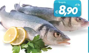 Iper Super Conveniente Spigole offerta